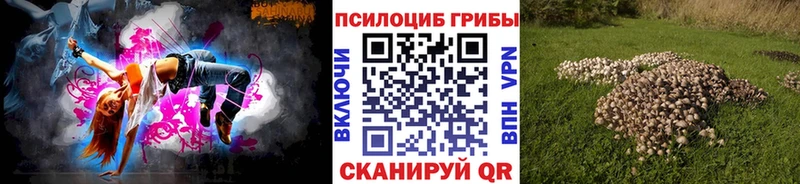 Галлюциногенные грибы мицелий  Купить закладки  Байкальск 